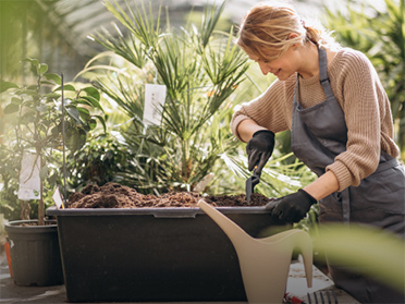 Exemple d'actualité 4